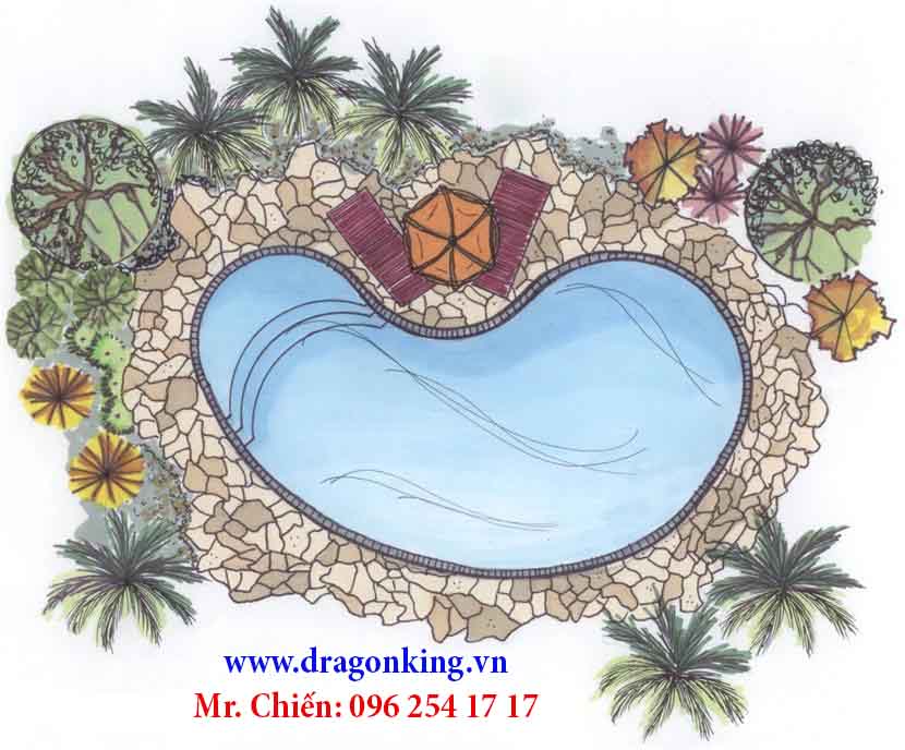 Thiết kế hồ bơi chuyên nghiệp