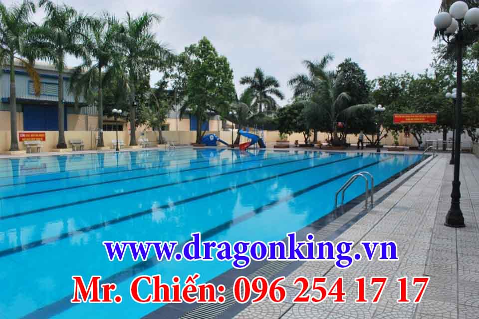 xây dựng hồ bơi kinh doanh